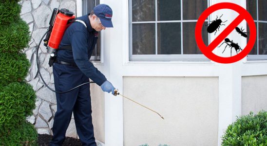Döşemealtı Kemirgen İlaçlama böcek ilaçlama ve haşere kontrolü — ilaclama-tr.com